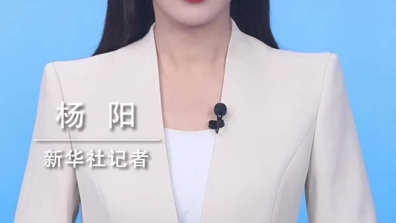 上海人工智能应用创新服务：现状与未来展望
